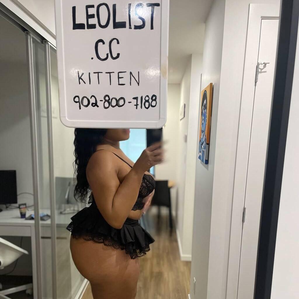
                        Kitten
                     is Female Escorts. | Regina | Saskatchewan | Canada | canadapleasure.com 