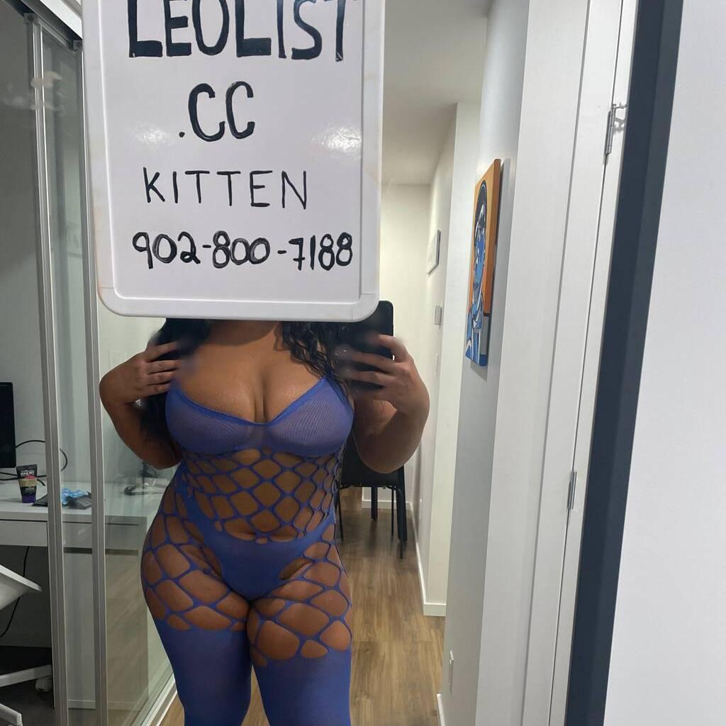 
                        Kitten
                     is Female Escorts. | Regina | Saskatchewan | Canada | canadapleasure.com 