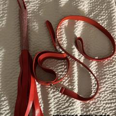 
                        Princess Jasmine
                     is Female Escorts. | Kitchener | Ontario | Canada | canadapleasure.com 