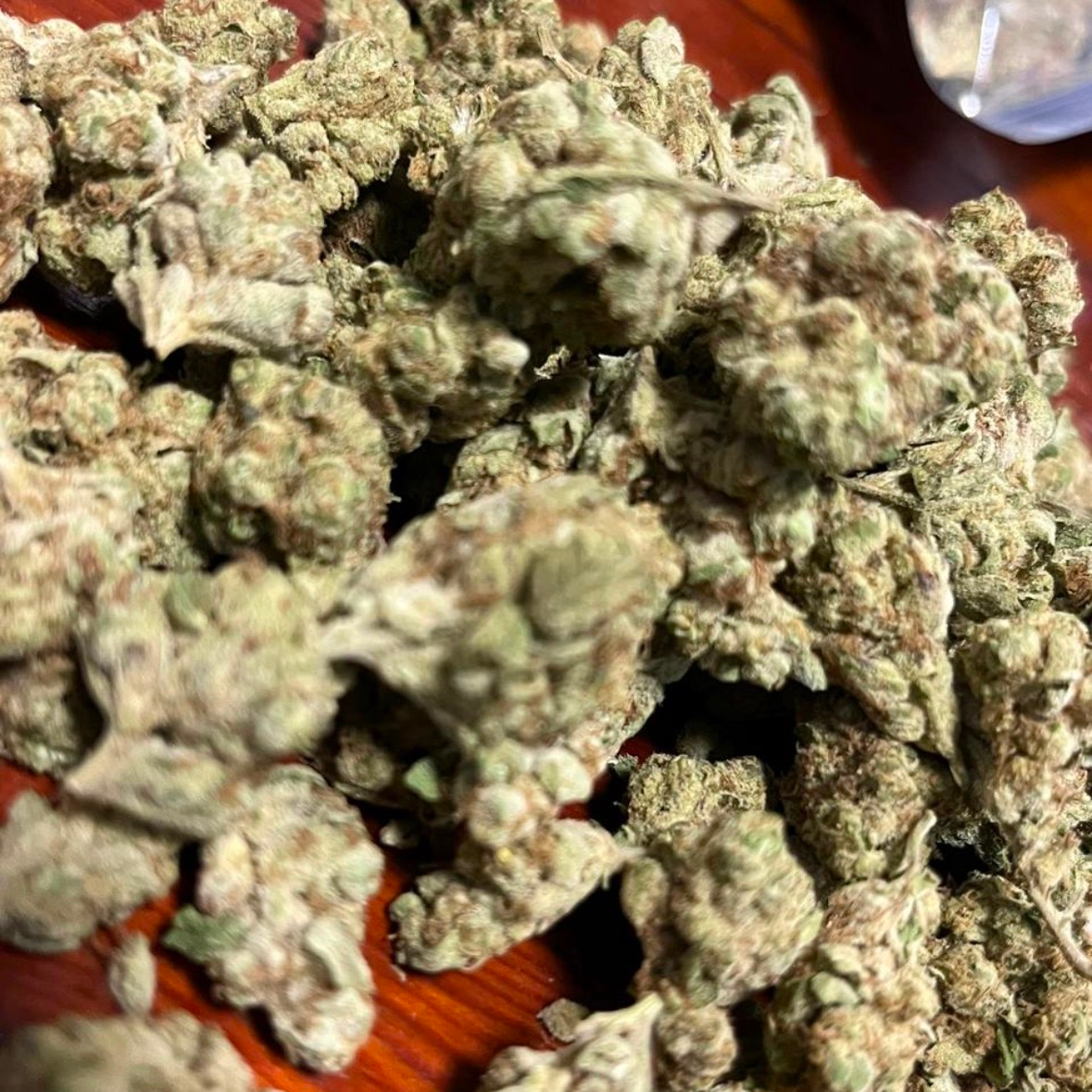 Alissa is Female Escorts. | Grande Prairie | Alberta | Canada | canadapleasure.com 