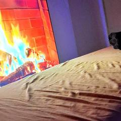 
                        Tony&Isabella
                     is Female Escorts. | Niagara | Ontario | Canada | canadapleasure.com 