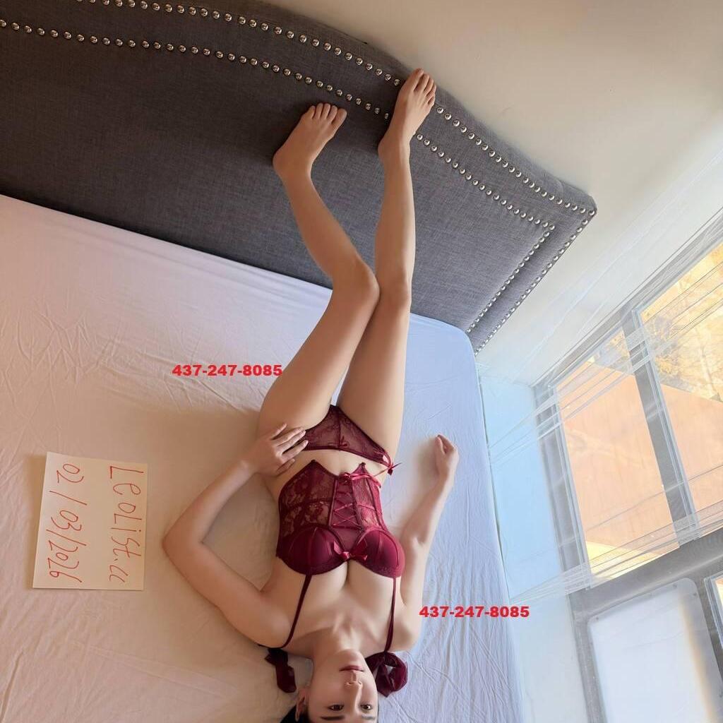 
                        Lia4372478085
                     is Female Escorts. | Fredericton | New Brunswick | Canada | canadapleasure.com 