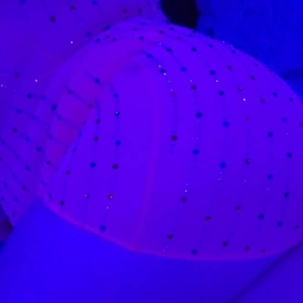 
                        Bubbles
                     is Female Escorts. | Kingston | Ontario | Canada | canadapleasure.com 