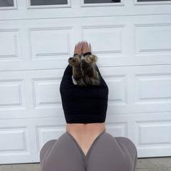 
                        Layla-no deposit
                     is Female Escorts. | Prince George | British Columbia | Canada | canadapleasure.com 
