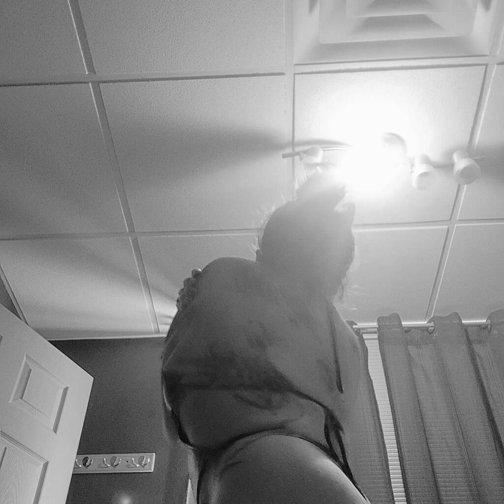 
                        Amy Lotus
                     is Female Escorts. | Niagara | Ontario | Canada | canadapleasure.com 