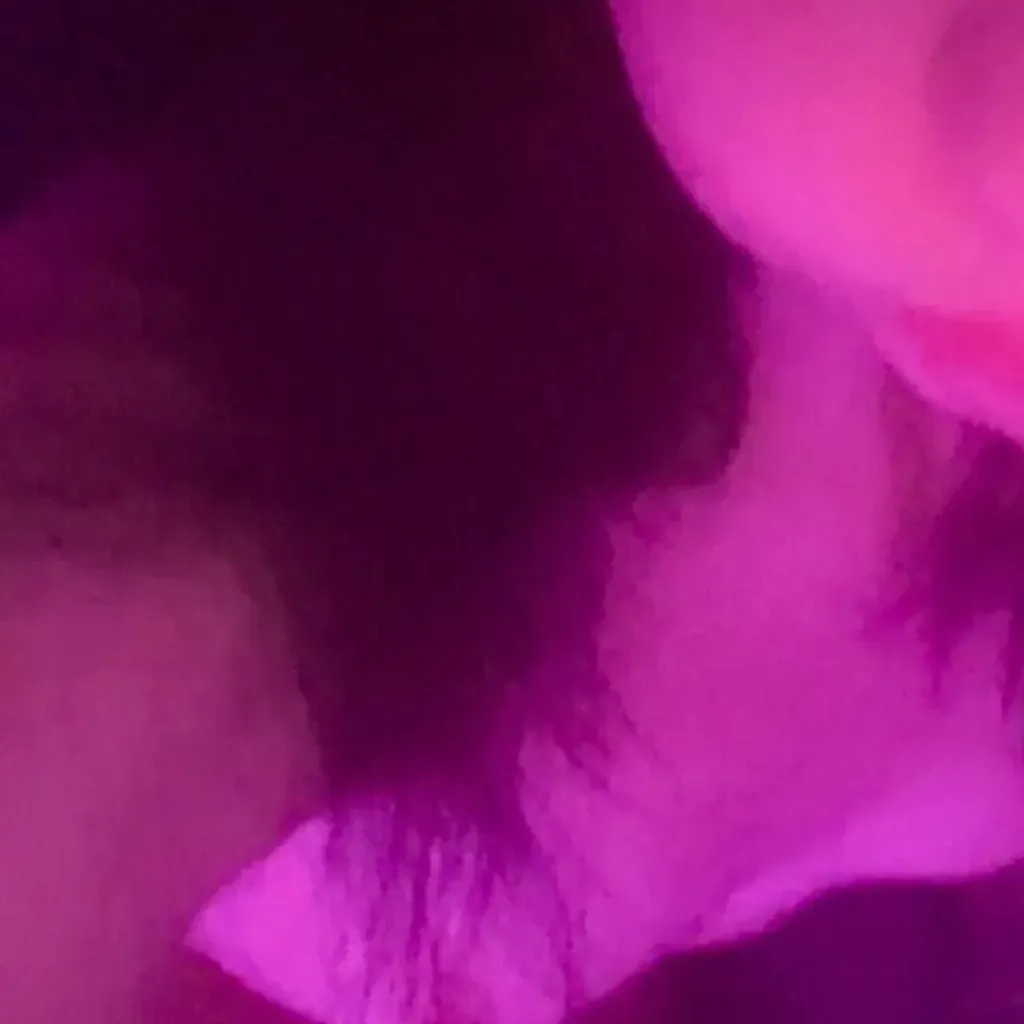 
                        Kai
                     is Female Escorts. | Winnipeg | Manitoba | Canada | canadapleasure.com 