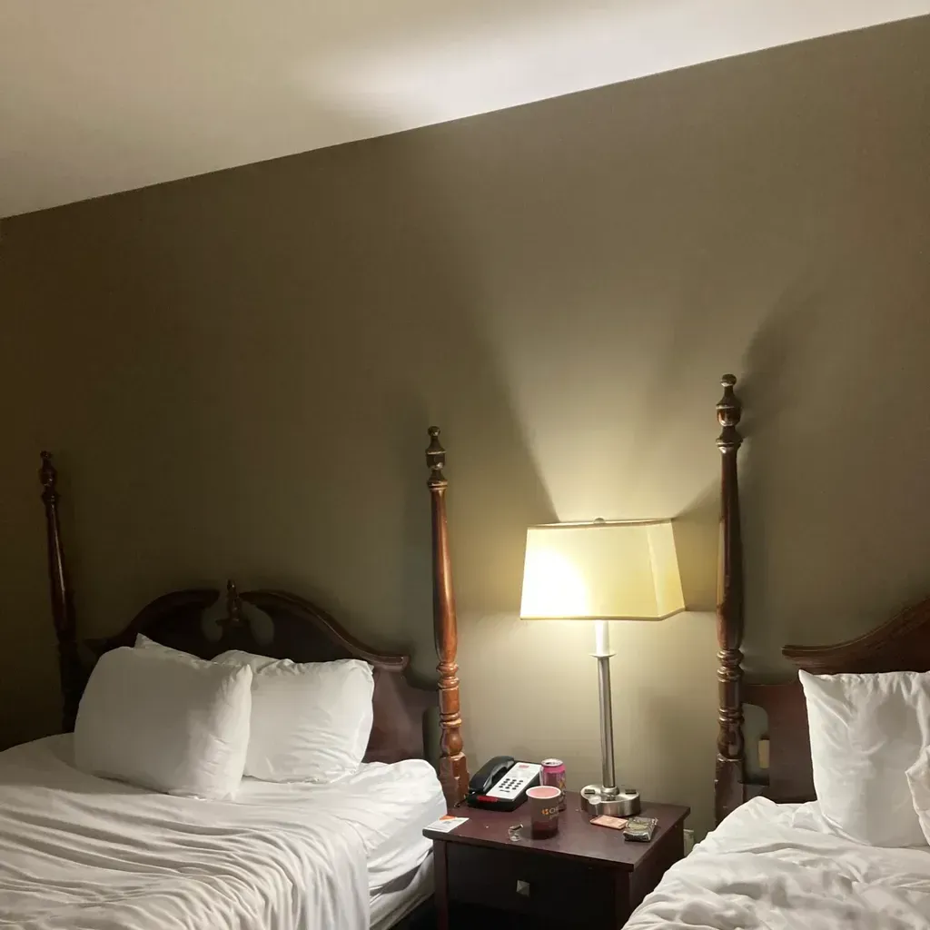 
                        Bella
                     is Female Escorts. | Kingston | Ontario | Canada | canadapleasure.com 