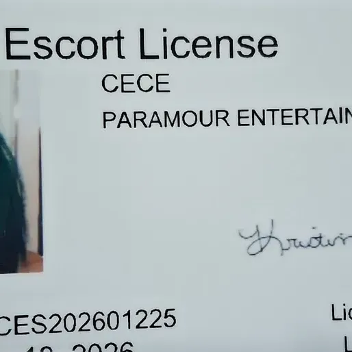 
                        Cece tiny spinner
                     is Female Escorts. | Medicine Hat | Alberta | Canada | canadapleasure.com 